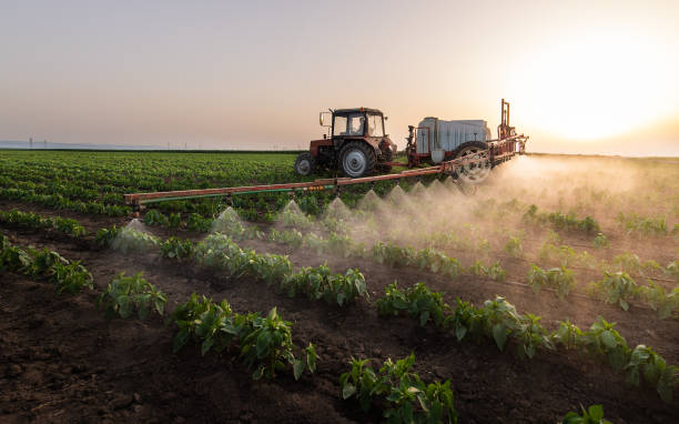Best Ant Control Services  in Progreso, TX