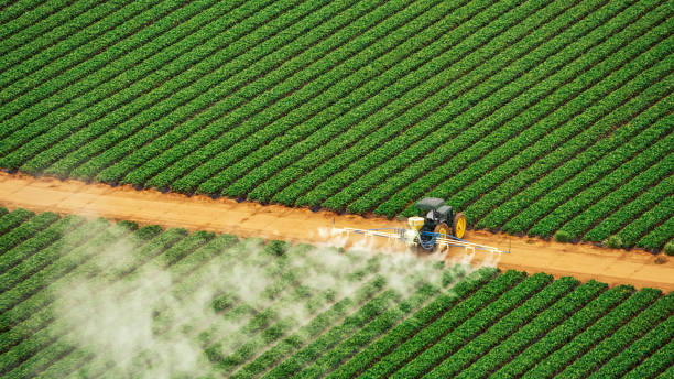Pest Prevention Services in Progreso, TX