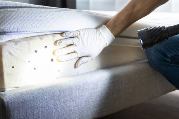 Best Exterminator Services  in Progreso, TX