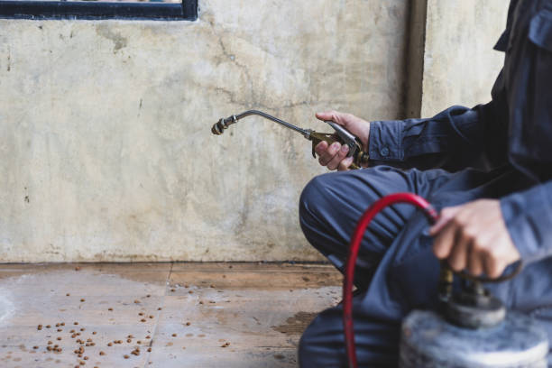 Best Affordable Pest Control Services  in Progreso, TX