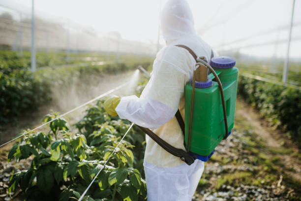 Best Pest Control for Restaurants  in Progreso, TX